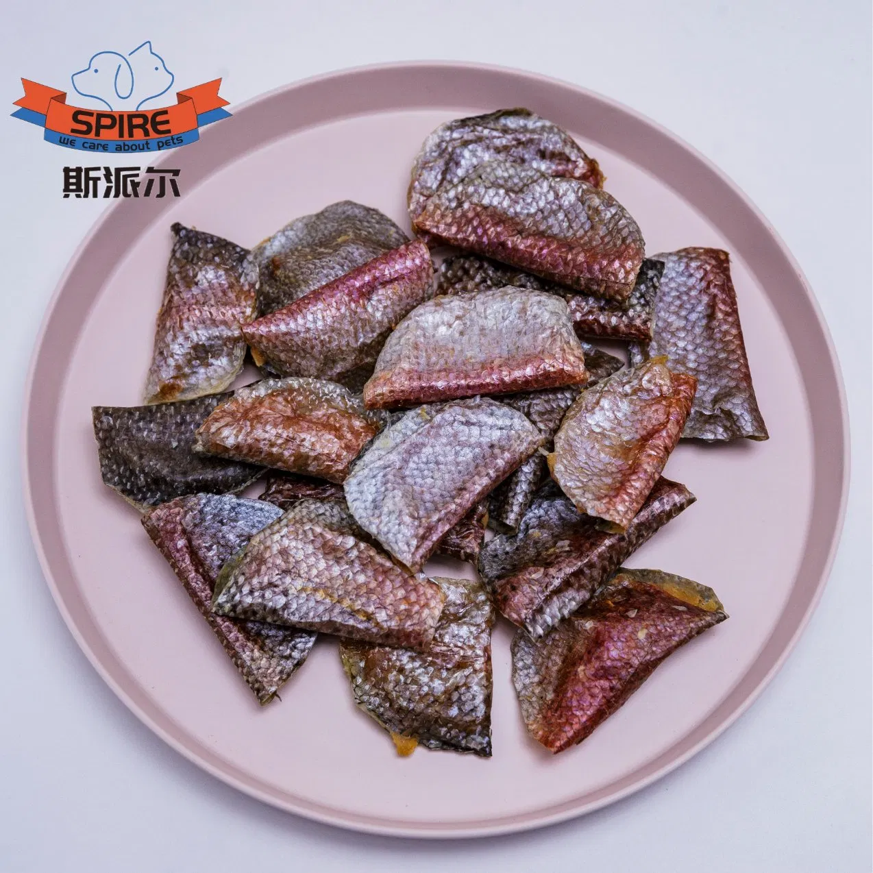 Hypoallergenic Salmon Dumpling Dry Dog Food for Strict Diet