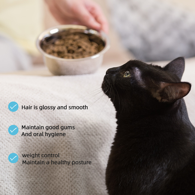 42% High-Protein 1.5kg Baked Dry Cat Food Wholesale Good Palatability Savory Kibble