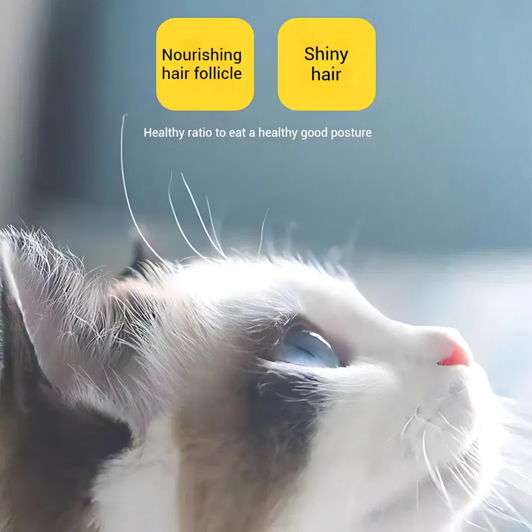 Cat Wet Food Nutrition