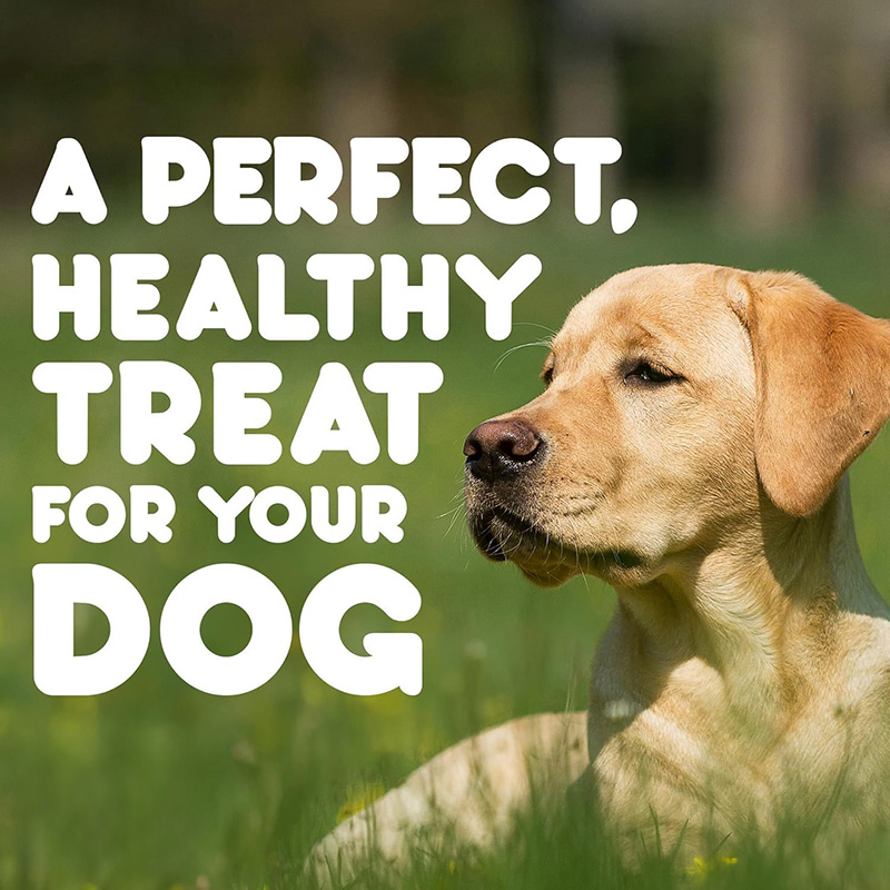 Turkey with Cranberry Semi-Moist 2.5oz (70g) Dog Treats