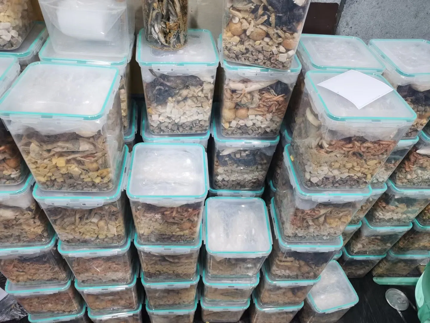 Premium Freeze-Dried Gourmet Beef and Duck Pet Food Blend