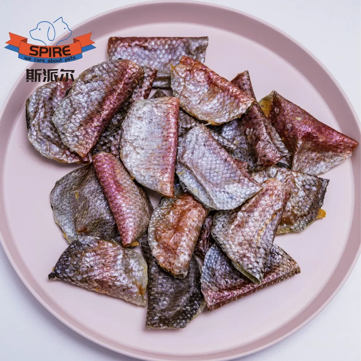 Hypoallergenic Salmon Dumpling Dry Dog Food for Strict Diet