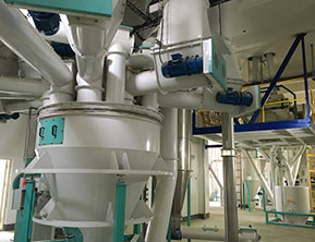 Advanced Pet Food Manufacturing