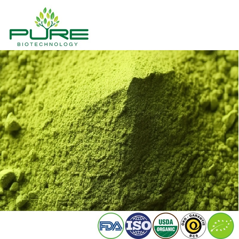 Premium Organic Matcha Green Tea Powder