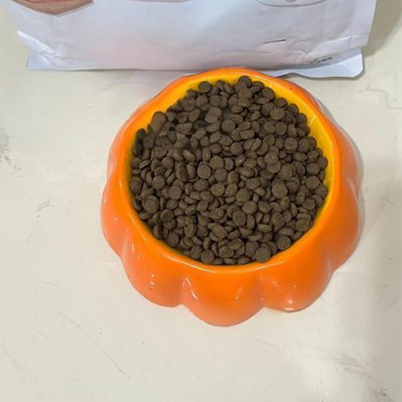 Gentle Nutrition Cat Food for Sensitive Stomach Relief and Wellness