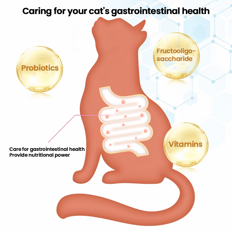 Top-Quality High-Protein Low Fat Comprehensive Nutrition Moderate Kibble Size Irresistible Aroma Custom Flavors &amp; Packaging Options Cat Food