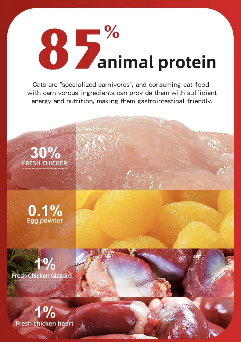 Freeze Dried Ingredients