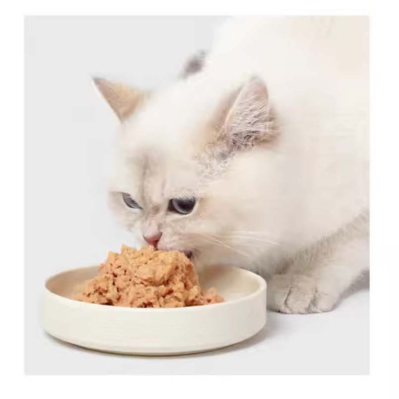 Wholesale Pet High Protein OEM Raw Meat Wet Cat Food