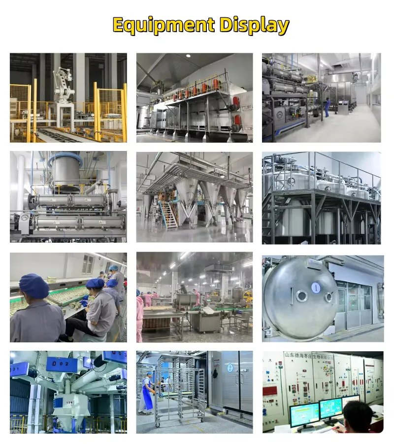 Automated Production Line