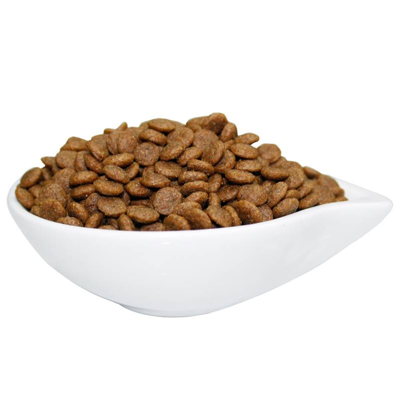 All-Natural Premium Salmon &amp; Sweet Potato Cat Food for Allergies