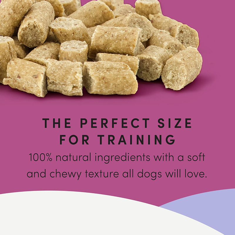 Mini Trainers Lamb (semi-Moist) 10.6oz (300g) Dog Treats