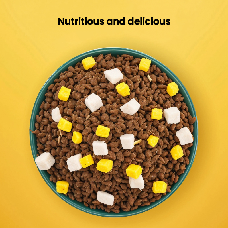 Top-Quality High-Protein Low Fat Medium-Sized Kibble Healthy Nutritionally Complete Mouthwatering Aroma Customizable Taste &amp; Packaging Cat Food