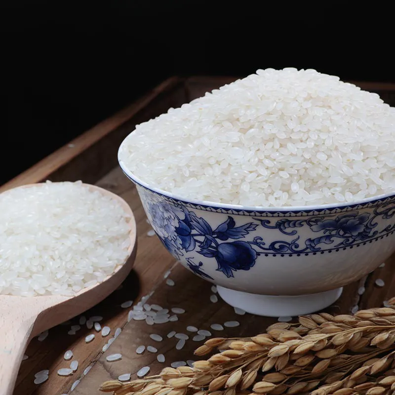 Detailed Rice Photo 2