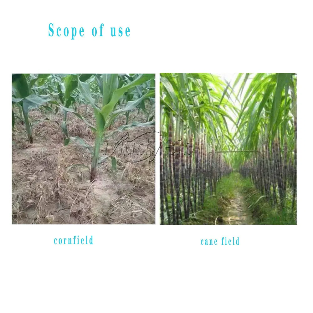 Isoxaflutole Herbicide for Maize Sugarcane Organic Chemicals Agrochemicals Weed Killer 20%Sc 75%Wg 98%Tc