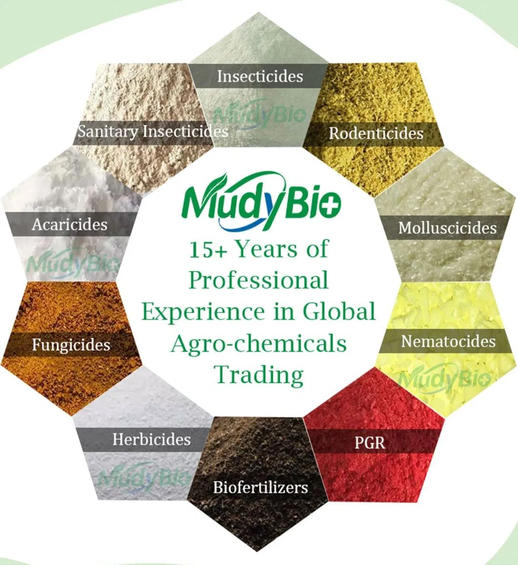 Production Advantage