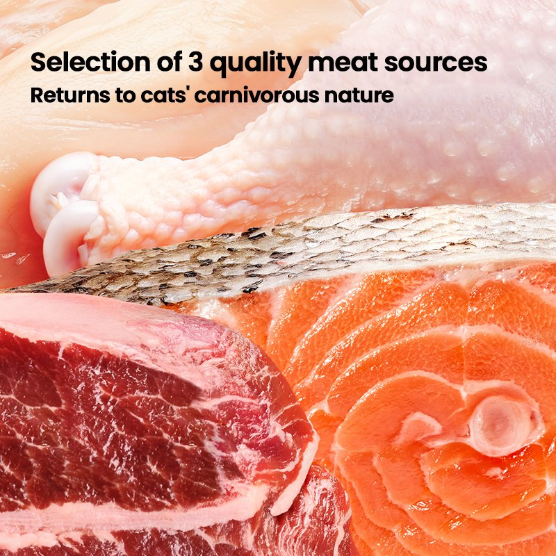 OEM Cat Food Factory Exports 10kg High Protein Pet Food Raw Chicken Flavors Customized Shapes All Age Cat Dry Food