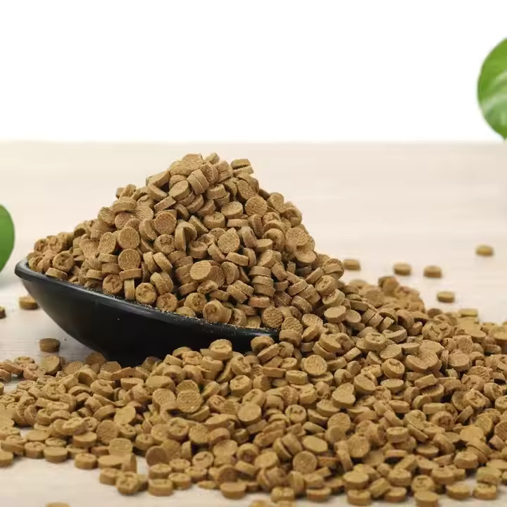 Baked Kibble Low Temperature Baked Food for Dogs