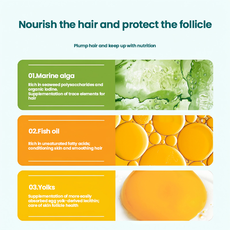 Superior High-Protein Low Fat Complete Nutrition Medium Kibble Size Tempting Aroma Customizable Flavors &amp; Packaging Solutions Cat Food