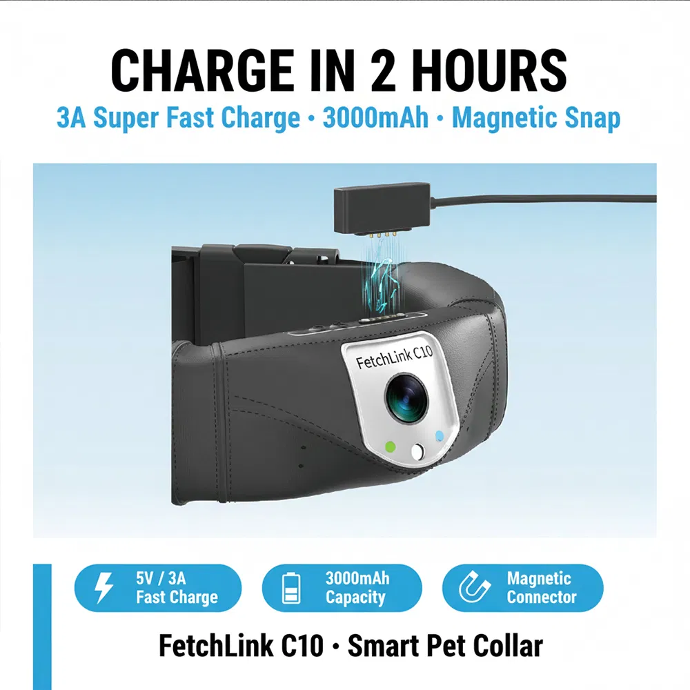 Fetchlink C10
