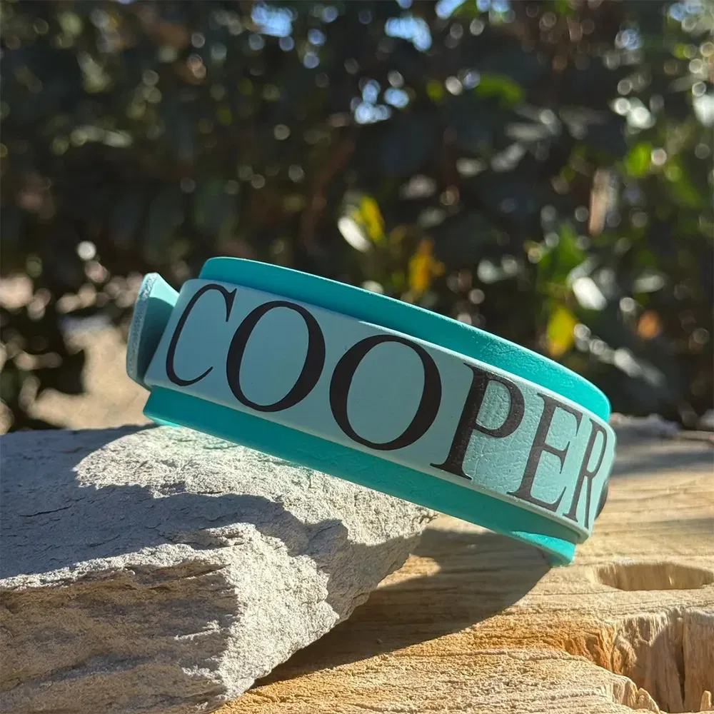 Coleira de Cachorro Personalizada com Impressão em Transferência Térmica Material PVC à Prova d'Água para Animais de Estimação Estilosos e Fashionáveis