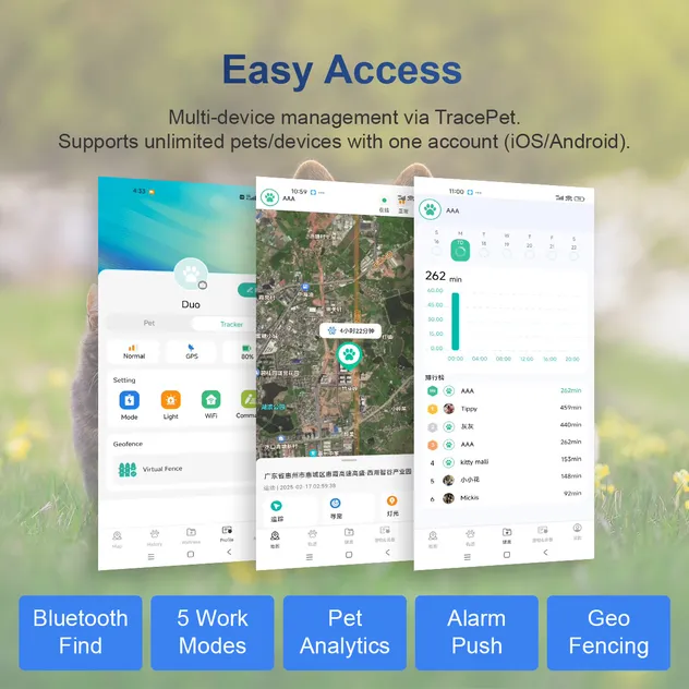 Interface da plataforma 1