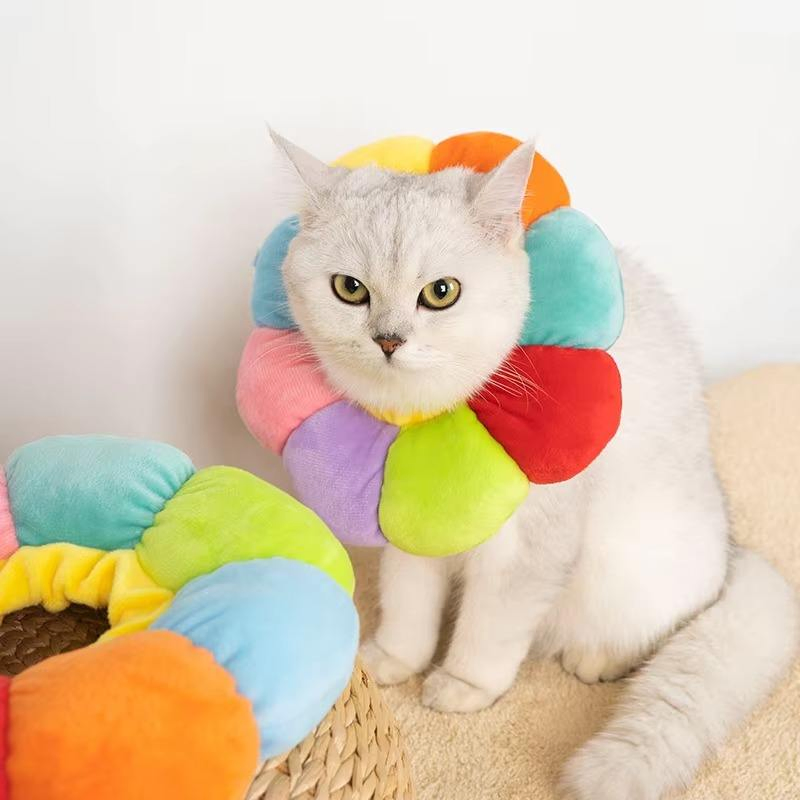 Colar Elizabethano Colorido Antiarranhões para Gatos Ajustável para Mordidas