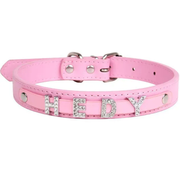 Coleira de Pet com Strass Personalizada com Charms de Nome