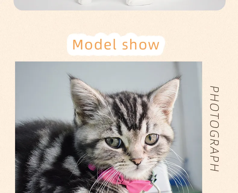 Melhores Suprimentos de Coleira para Cães e Gatos com Design Personalizado de Logo, Coleiras Ajustáveis para Cães e Gatos