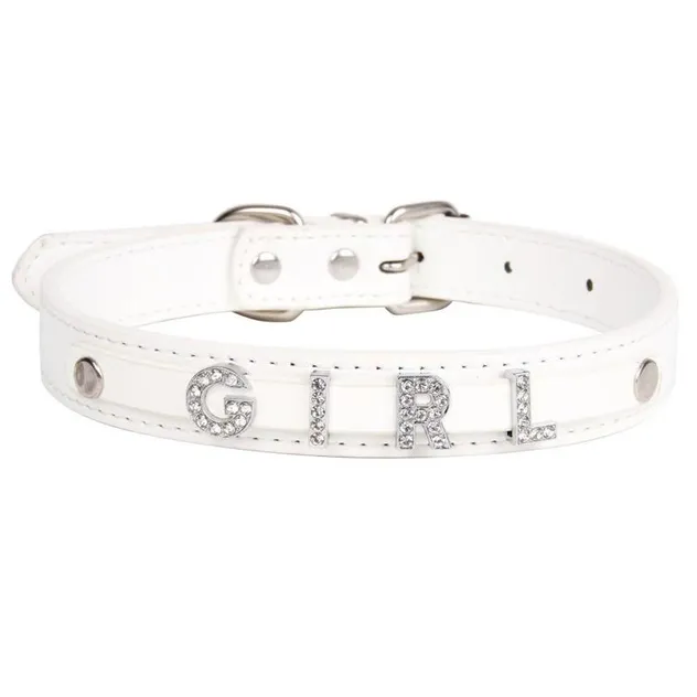 Coleira de Pet com Strass Personalizada com Charms de Nome