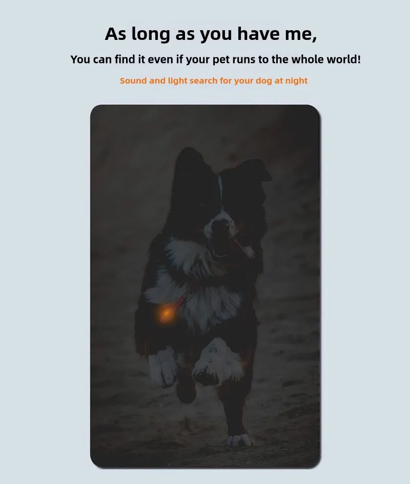 Localizador de animais de estimação