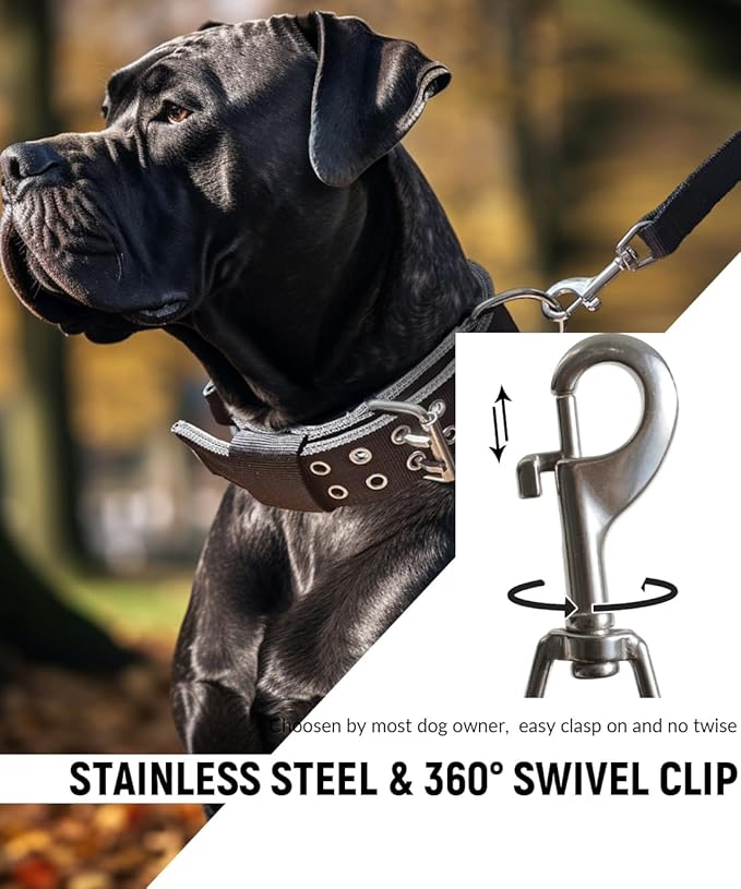 Coleira Grande Ajustável para Cães com Fivela de Metal em Forma de D Coleira Tática China