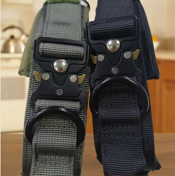 Colar de Cão Tático de Nylon Personalizado em Neoprene com Fecho de Gancho e Laço Refletivo Luxuoso para Animais de Estimação com Fivela de Sapo Dourada