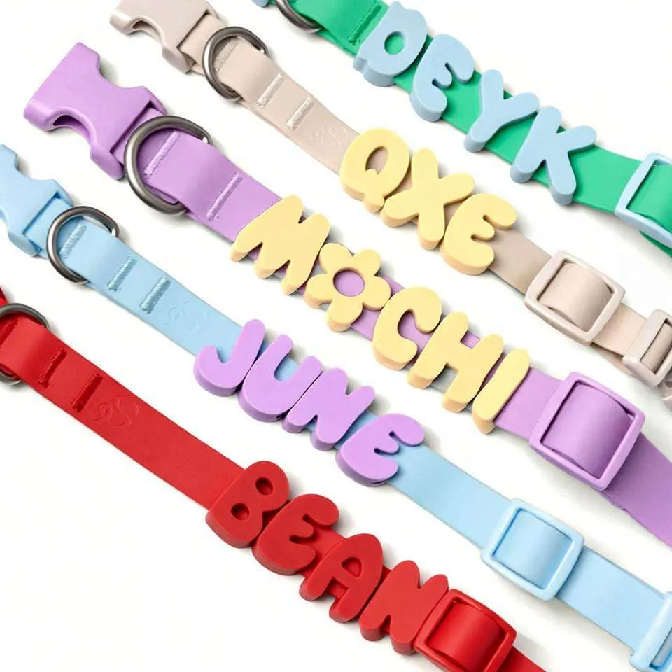 Coleira de Pet Personalizada 1