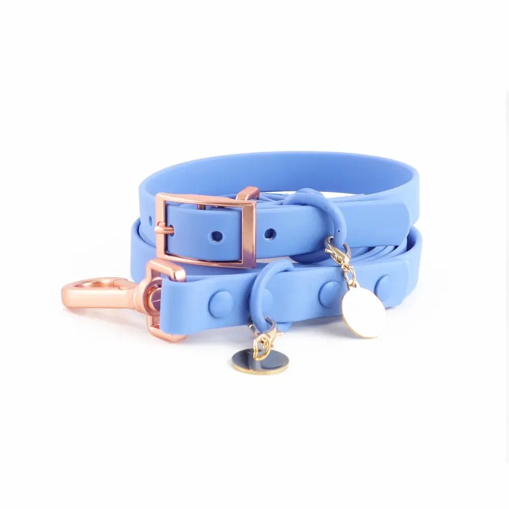 Coleira de Cachorro de PVC com Revestimento de Silicone e Placa de Nome Personalizada, Conjunto de Coleira e Guia de Cachorro à Prova d'Água