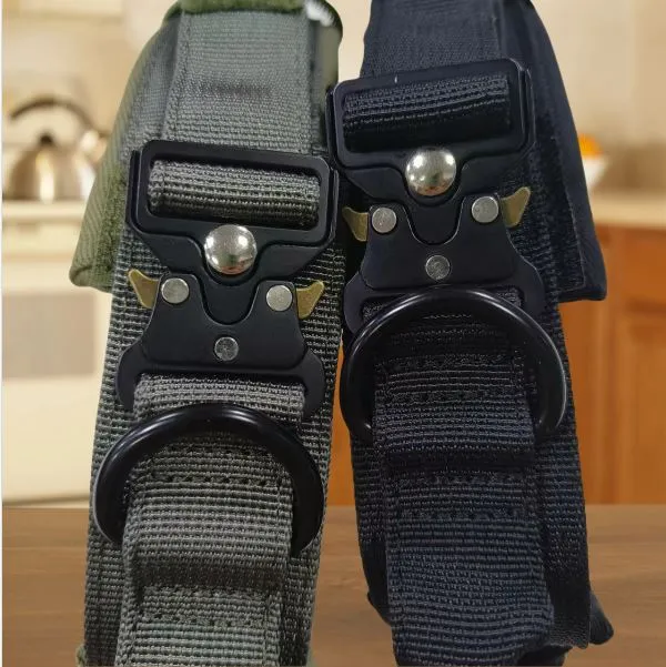 Colar de Cão Tático de Nylon Personalizado em Neoprene com Fecho de Gancho e Laço Refletivo Luxuoso para Animais de Estimação com Fivela de Sapo Dourada
