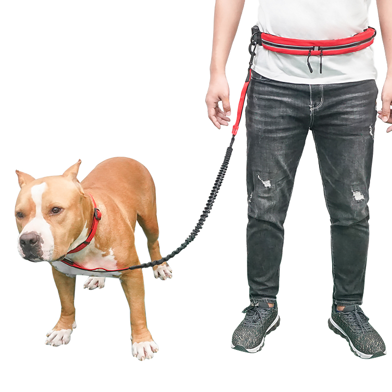 Coleira de Cão Retrátil Refletiva de Nylon Elástico para Corrida ao Ar Livre Sem Mãos
