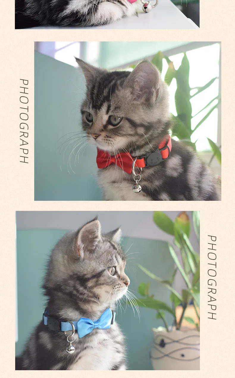 Melhores Suprimentos de Coleira para Cães e Gatos com Design Personalizado de Logo, Coleiras Ajustáveis para Cães e Gatos