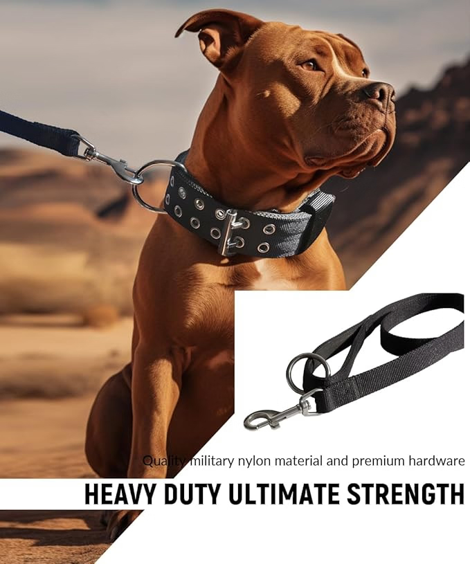Coleira Grande Ajustável para Cães com Fivela de Metal em Forma de D Coleira Tática China