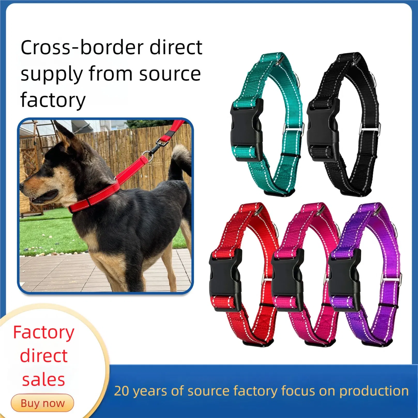 Coleira de Cão Clássica Personalizada Barata de Nylon com Fivela de Fabricante de Produtos para Animais de Estimação com Fitas Personalizadas Sólidas para Passear o Cão
