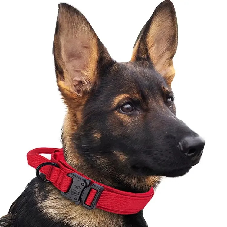 Coleiras de Cão Táticas Resistentes e Duráveis com Fivela de Metal e Alças para Uso Externo