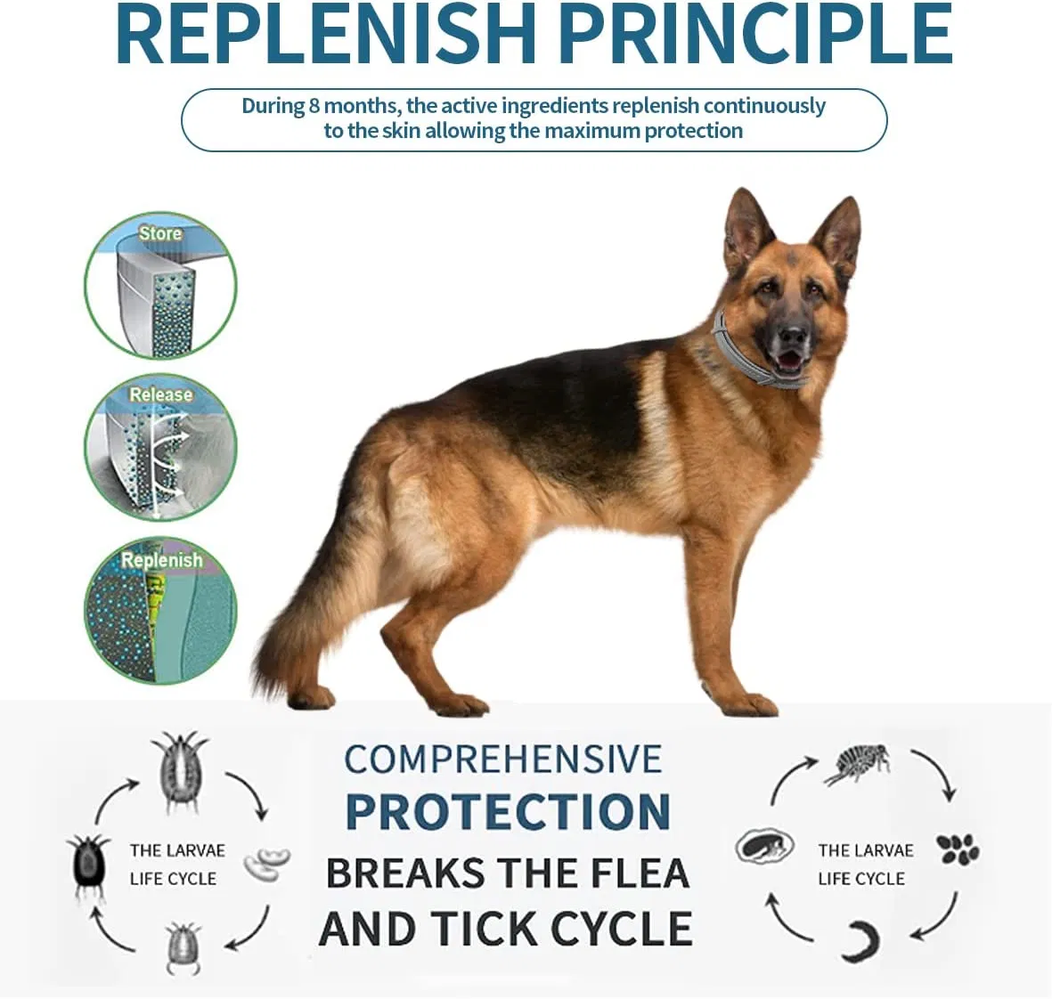 Coleira Antipulgas para Cães, Ajustável e Impermeável, Coleira de Tratamento Antipulgas e Carrapatos com Alta Avaliação, Atacado 4/6/8 Meses de Proteção