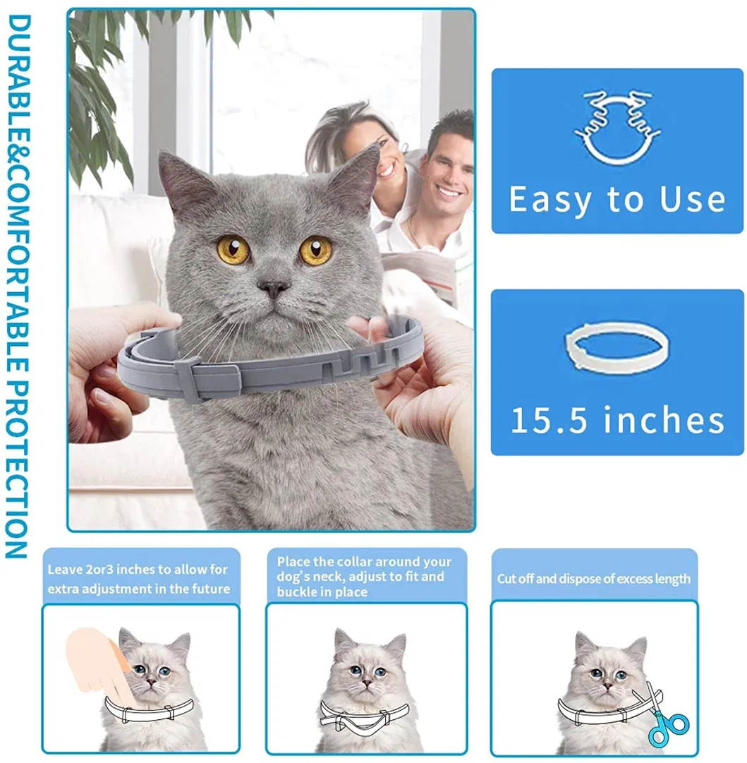 Tratamento Natural para Pulgas de Gato, Coleira Ajustável para Pulgas e Carrapatos, Proteção contra Pulgas por 6 Meses, Vendas Diretas de Fábrica