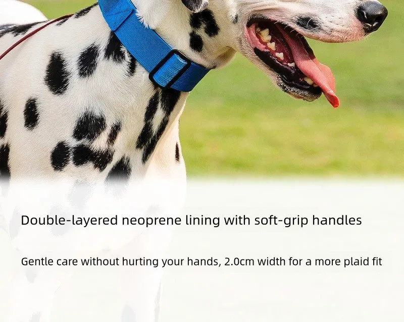 Coleira de Cão Macia Almofadada com Alça de Nylon para Cães Médios a Grandes Estilo Tático de Alta Resistência