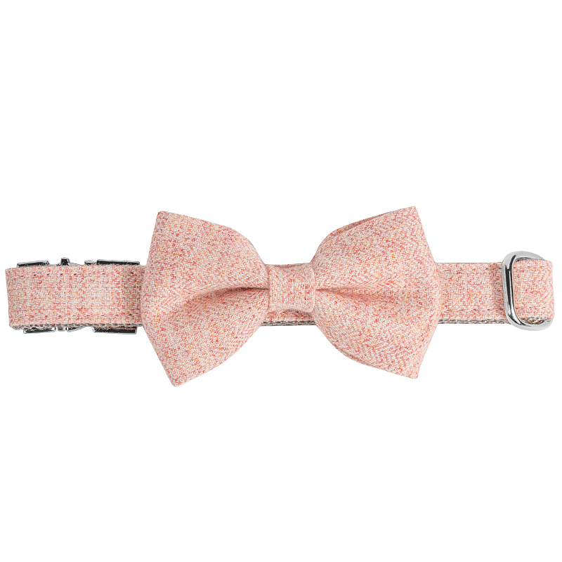 Designer de Moda para Animais Laser Logo na Fivela Cor Twill Cinza Nylon Cinta para Coleira de Cachorro Médio