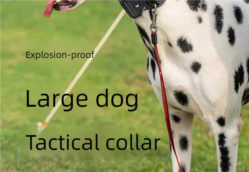 Coleira Tática Personalizada para Cães, Coleira de Metal Resistente para Treinamento e Exercício de Cães
