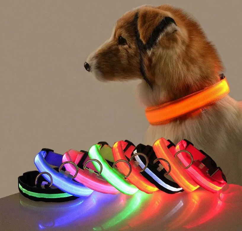 Colar de Cão Personalizado em TPU com LED, Tamanhos P, M e G, Recarregável por USB, Fácil de Cortar