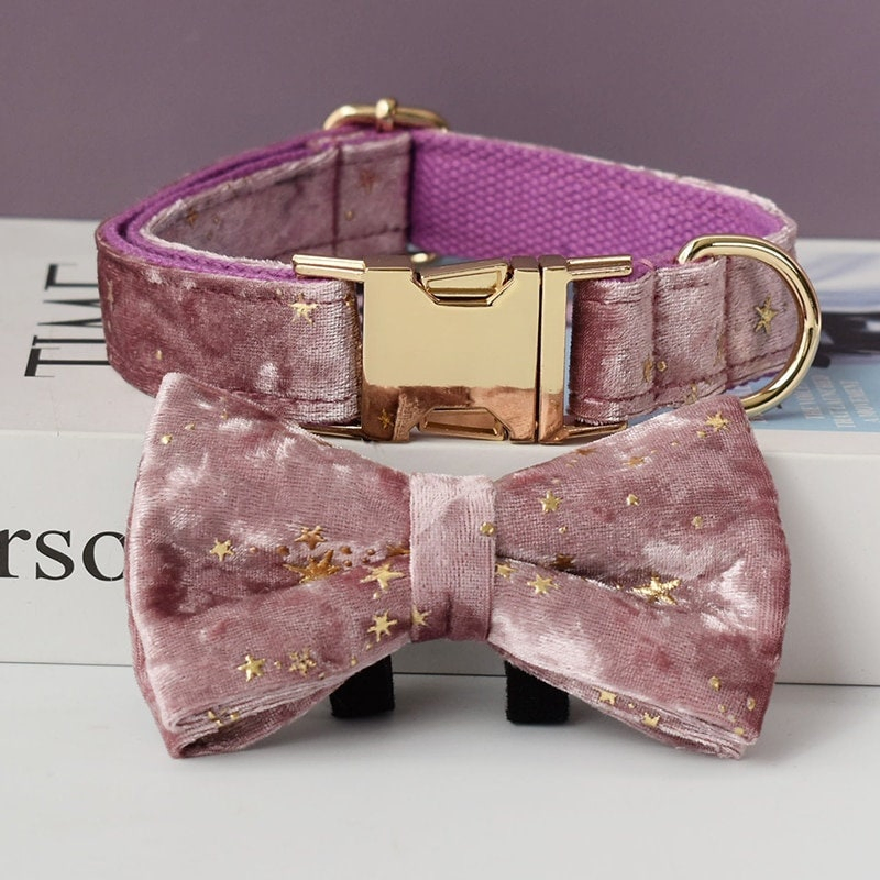 Acessórios para animais de estimação Hanyang, coleira PARA cachorro personalizada, fabricante, designer personalizado, luxuosa coleira de veludo e conjunto de guia para cachorro