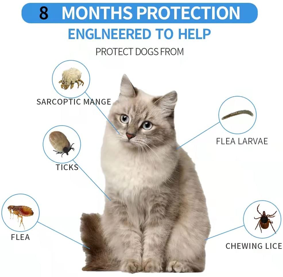 Tratamento Natural para Pulgas de Gato, Coleira Ajustável para Pulgas e Carrapatos, Proteção contra Pulgas por 6 Meses, Vendas Diretas de Fábrica