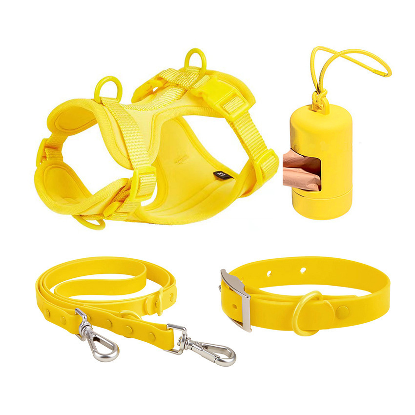 Fabricante de Coleira de Cão em Neoprene Macio com Guia Impressões Personalizadas Coleira de Luxo para Cães Guias Suprimentos para Animais de Estimação