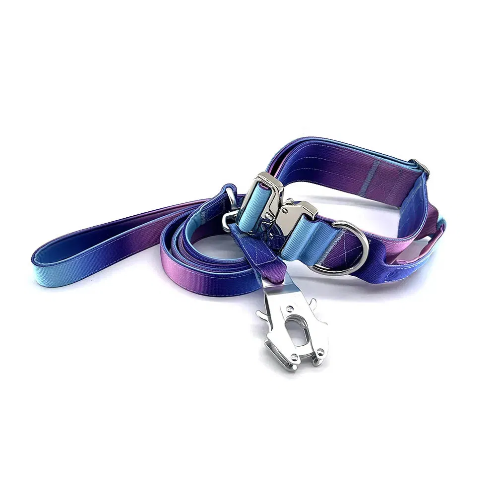 Coleira para Cão Pesada Personalizada com Fivela de Metal Liga Ajustável, Coleira Tática para Animais de Estimação
